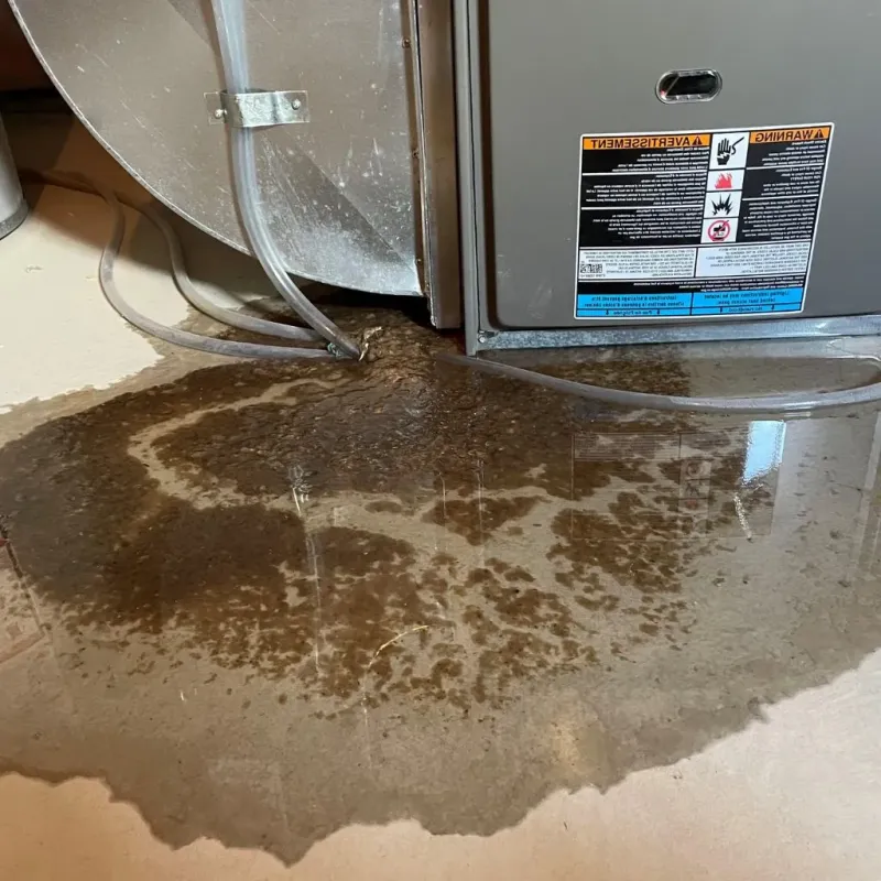 Pipe Burst and Leak Restoration in Arecibo, PR